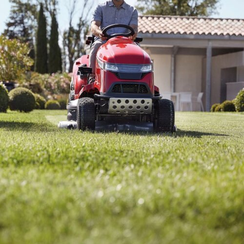 Cortador de relva Premium + HONDA HF 2625 HTE