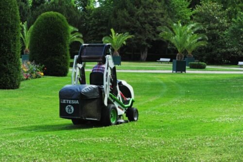 Cortador de relva Etesia BUFFALO 124 HVHPX2 - Imagen 8