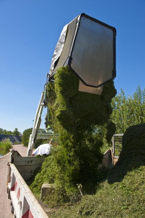 Cortador de relva Etesia BUFFALO 124 HVHPX2 - Imagen 12